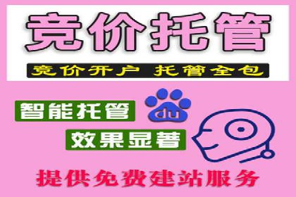 某知名品牌SEM运营策略及效果评估